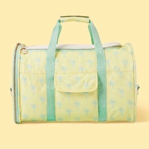 NWT Stoney Clover x Target Pet Carrier